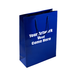 Medium Gloss Laminated Rope Handle Paper Bags-25x34x10cm