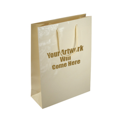 Medium Gloss Laminated Rope Handle Paper Bags-25x34x10cm