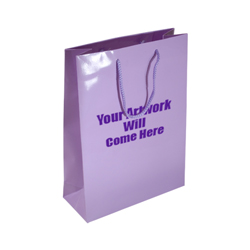 Medium Gloss Laminated Rope Handle Paper Bags-25x34x10cm