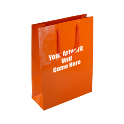 Medium Gloss Laminated Rope Handle Paper Bags-25x34x10cm