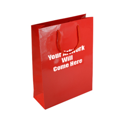 Medium Gloss Laminated Rope Handle Paper Bags-25x34x10cm