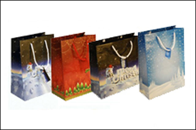 Christmas Gift Bags