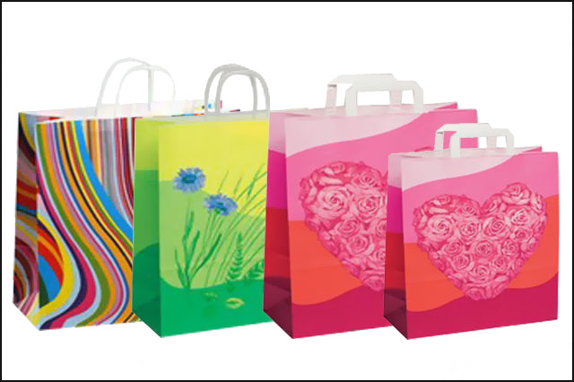 Kraft Paper Gift Bags