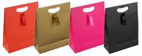 Paper Bags with Ribbon Handle