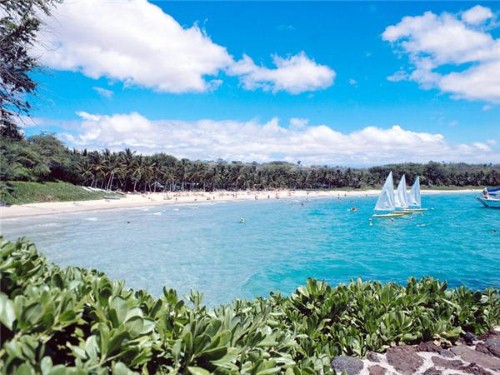Hawaii's plastic bag ban has been confirmed