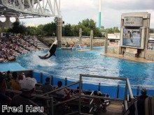 SeaWorld switches to paper bags to aid conservation SeaWorld switches to paper bags to aid conservation