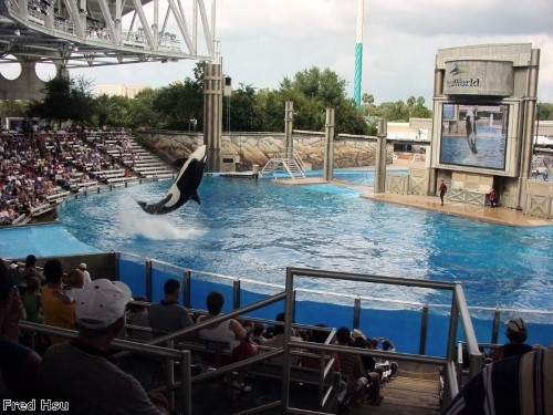 SeaWorld switches to paper bags to aid conservation