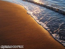 Solana Beach embraces plastic bag ban Solana Beach embraces plastic bag ban